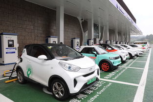 原來如此，莫拉萊斯敗在這件事上 我國新能源汽車電附件領域應盡快應對